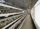 3 κλουβί μπαταριών πουλερικών σειρών για την πιστοποίηση CE φαρμάτων πουλερικών κοτόπουλου αυγών