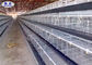 Γαλβανισμένο στρώματος σύστημα κλουβιών μπαταριών σπιτιών κοτόπουλου ανοικτό για το αγρόκτημα κοτόπουλου