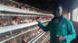 4 καυτός βυθισμένος γαλβανισμένος αυτόματος χάλυβας κλουβιών κοτόπουλου αυγών στρώματος σειρών