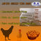 HDG αυτόματο ένα κλουβί στρώματος κοτόπουλου τύπων για το φάρμα πουλερικών