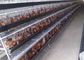 Αυτόματα κλουβιά στρώματος κοτόπουλου υδάτινων συστημάτων κατανάλωσης για το φάρμα πουλερικών
