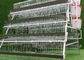 Φάρμα πουλερικών 96 κλουβιών μπαταριών επώασης στρώματος αυγών ικανότητα κοτόπουλων ανά σύνολο