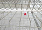 Καυτά βυθισμένα γαλβανισμένα κλουβιά για το κοτόπουλο 3 σειρές 4 πόρτες 96 πιστοποιητικό CE πουλιών