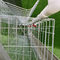 96 γαλβανισμένο πουλιά κλουβί χάλυβα κοτόπουλου στρώματος καλωδίων αυτόματο στο φάρμα πουλερικών
