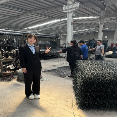Ζεστή πώληση Ζεστή βύθιση Ζαλβανισμένο Gabion καλάθι πέτρα για την προστασία στις Φιλιππίνες, Μαλαισία, Ινδονησία