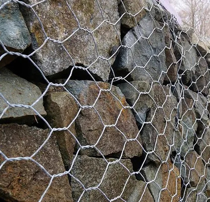 Shuxin Ζεστό Ζυγισμένο 60 * 80mm Τρύπα 2.7mm Wire Mesh Gabion καλάθι για τον έλεγχο των πλημμυρών