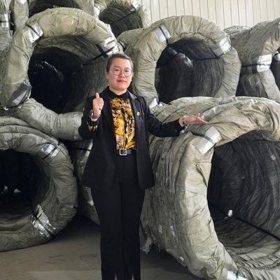 Egoza Concertina Wire περίφραξη ξυραφιού