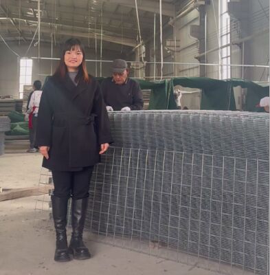 SX10 Άμμος Φιλοειδής HESCO Αμυντικά φράγματα με γεωτεξοπλισμό Στρατιωτικά φράγματα Gabion φράγματα HESCO τιμή