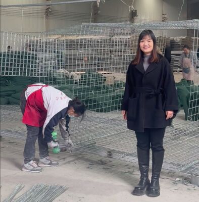 Μιλ 1 Στρατιωτικό Αμυντικό Φραγμό Προστασία Τείχους Ζυθοποιημένο Επικαλυμμένο Με Γεωτεξτύλιο